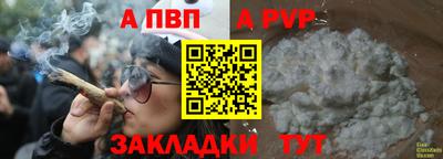 прущие грибы Можайск