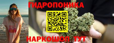 МДМА Можга
