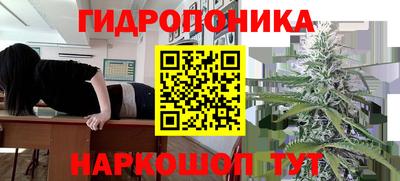 ешки Моздок