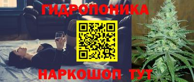 прущие грибы Можайск