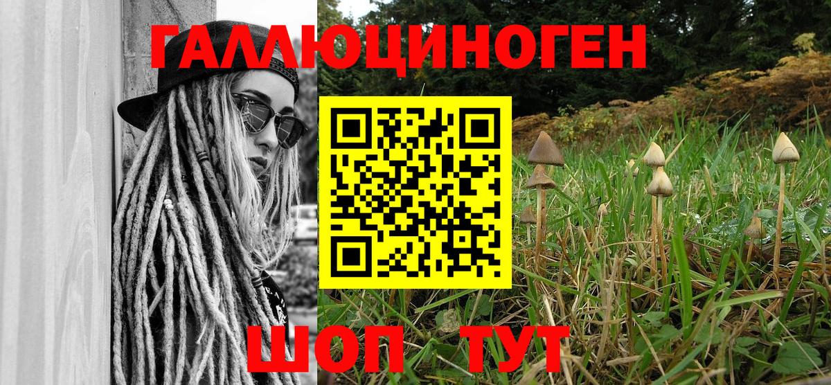 Галлюциногенные грибы MAGIC MUSHROOMS  Вход с VPN  Углич 